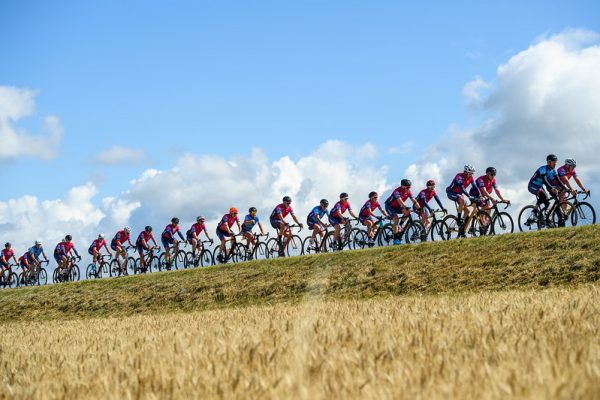 52187128394_bdf20fe305_c 52187128394_bdf20fe305_c