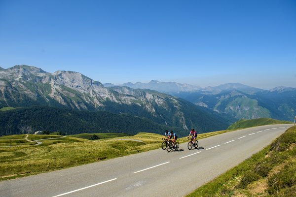 New-T21-background-2023 New-T21-background-2023